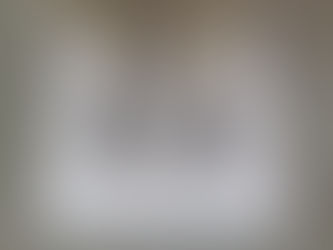 トランポリンマット買ってみました