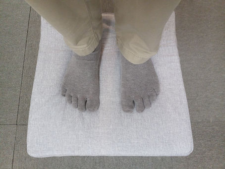 トランポリンマット買ってみました