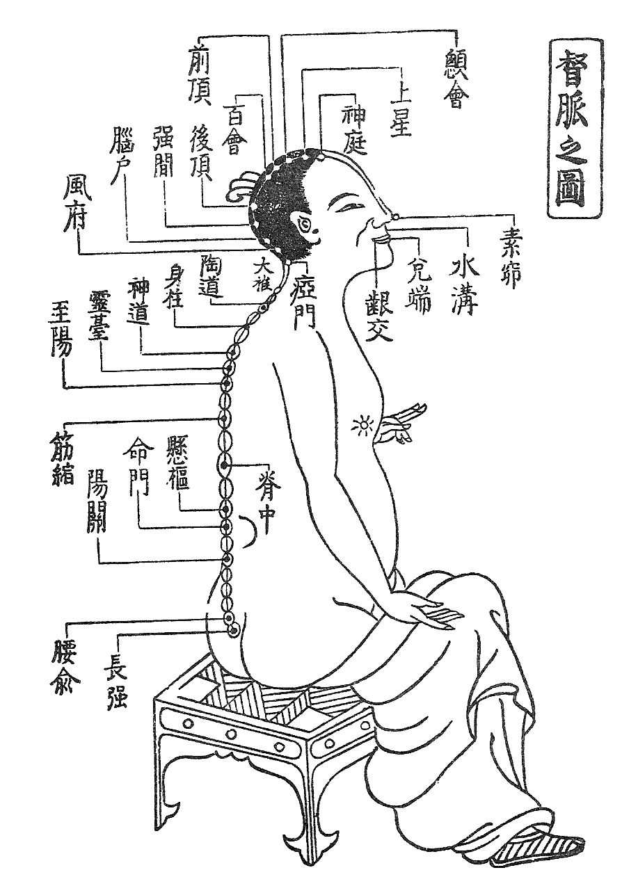 経絡図2