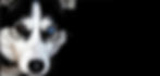 Marketing Grit - marketing and digital consultantsSiteImage1_edited.jpg