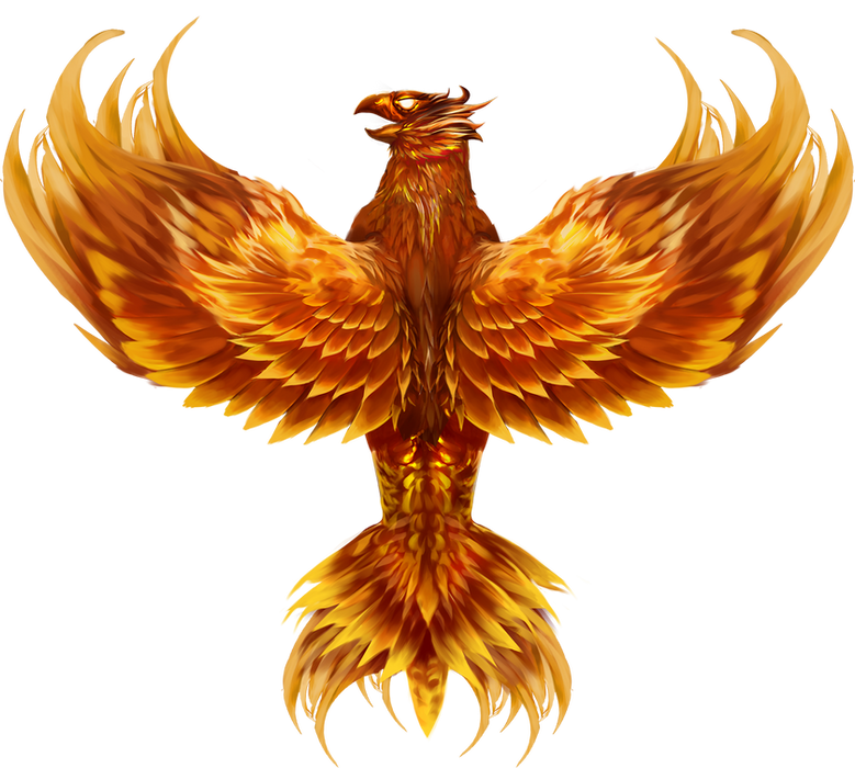phoenixreborn_1x1wild