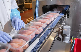 Chicken Processing3.jpg