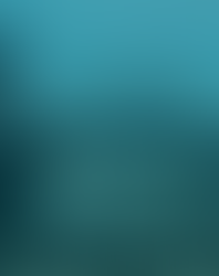 "Il mondo che muore", gli scatti di Nick Brandt alle Gallerie d'Italia di Torino 