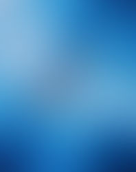 RACCONTI. Il Natale sul lago d'Orta salvato da un gabbiano