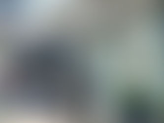 L'America che resiste a Trump