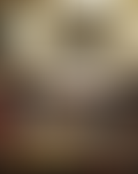 Francia, all'Assemblea nazionale ritornano i fantasmi della guerra d'Algeria