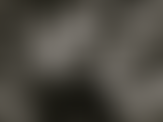 Il “noi” contro la politica del disprezzo diffusa da Trump 