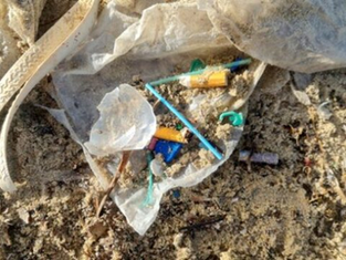 Inquinamento marino: interazioni tra plastiche e polveri di coralli
