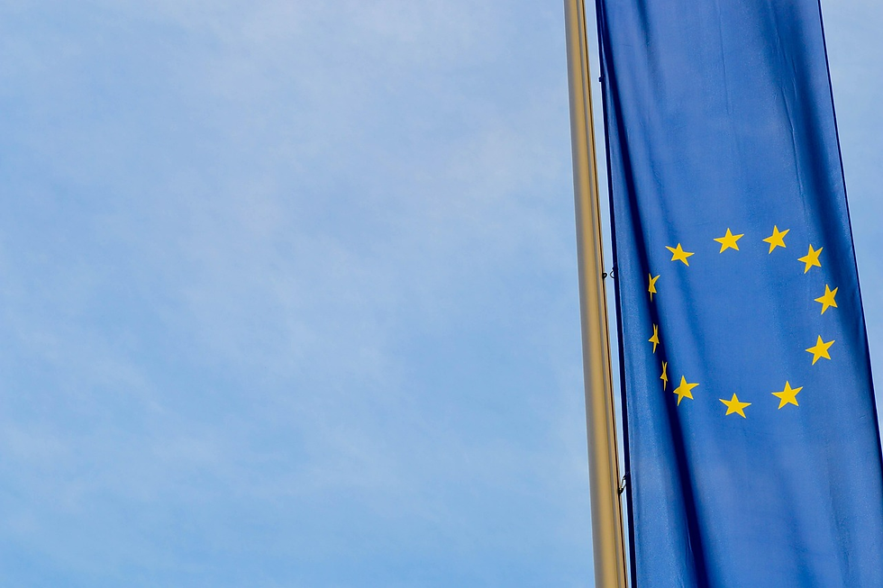 Ripartire dalla CED per un esercito europeo eviterebbe l'immobilismo