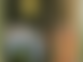 … ma Papa Leone XIV è di destra o di sinistra?