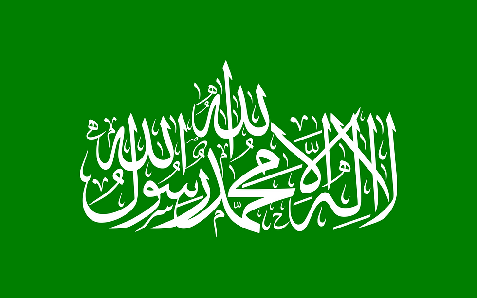 La bandiera di Hamas @Pubblico dominio in Wikipedia