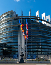 Incombe una crisi politica sulla transizione verde europea