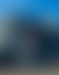 Incombe una crisi politica sulla transizione verde europea