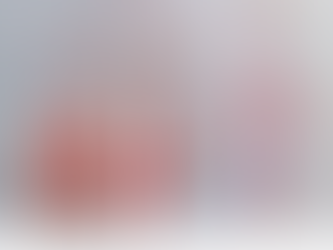 Imprenditoria e tradizione, il "mix" di Barani per riportare in alto il calcio alessandrino