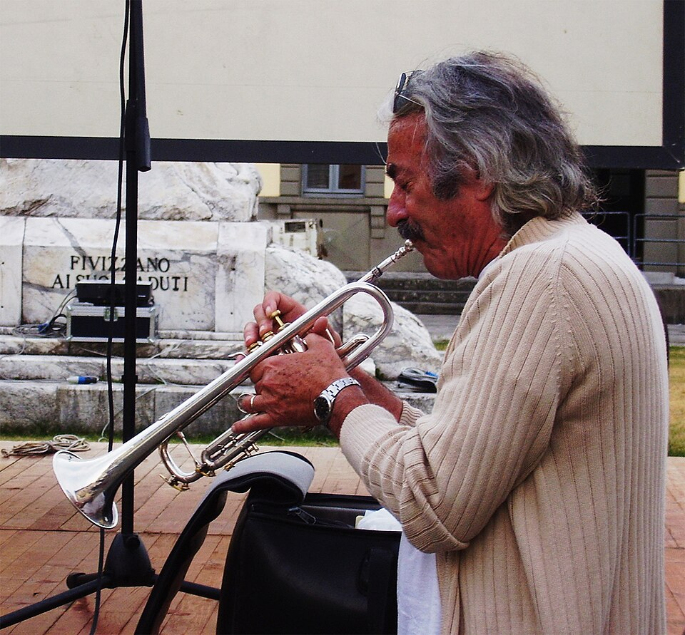 @Gabriele Bartolucci - Concerto con ciprì e maresco in Wikipedia