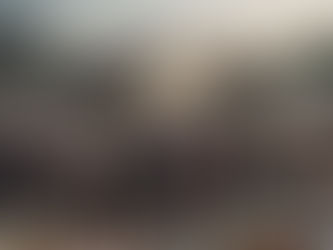 La "libertà " promessa da Trump non è parente della democrazia