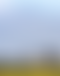 Sigonella: alibi di un governo prono ai voleri di Trump 