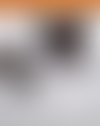 Trump nel mirino di un attentatore L'uomo è stato bloccato e arrestato