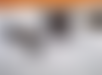 Trump nel mirino di un attentatore L'uomo è stato bloccato e arrestato