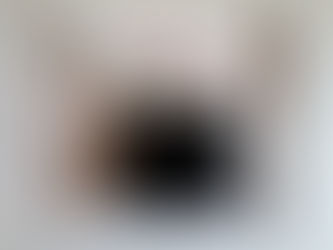 Prebende varie e i tagli a sanità e scuola: il populismo all'attacco del Welfare (vero)