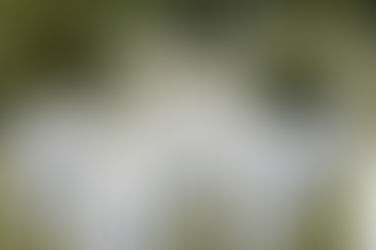 Srebrenica, sempre nuove croci raccontano il genocidio nei Balcani