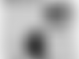 Roma-Torino: analogie di storie d'anarchia, di bombe e di terrore 