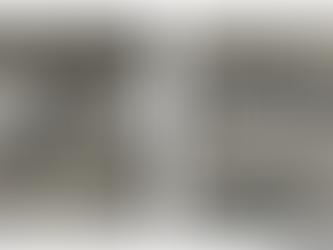 "Seeing Auschwitz" da domani a Torino all'Archivio di Stato