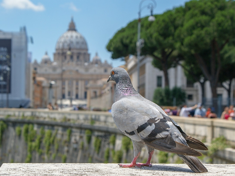 "Il cristiano non ha nemici, ma fratelli", le parole di pace di Leone XIV al mondo