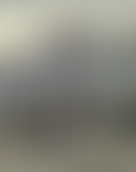 Domenico, un autentico "sperimentatore" in politica