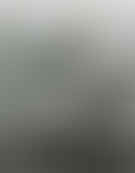 Trump attende Netanyahu, mentre dal 10 ottobre a Gaza sono morti 451 palestinesi