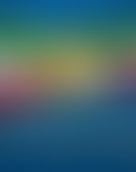 Maryam Rajavi: "Ora libertà e sovranità del popolo"