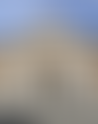 Il Parlamento? Il tappetino preferito del Governo