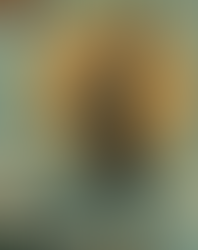 Per passione, non solo musica e parole...