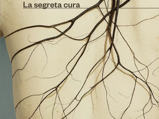 Le fragilità nascoste nell'ultimo libro di Raffaella Romagnolo