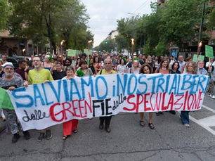 Aceri di corso Belgio: "Il Comune di Torino dialoghi davvero con i cittadini!"
