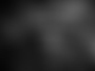 Nel ricordo di Piazza Fontana, 12 dicembre 1969, 17 morti