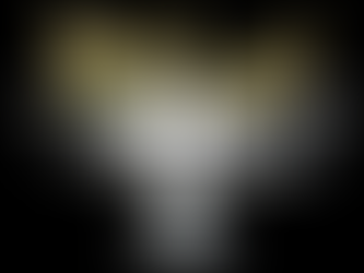 Il bullo d'America ora minaccia anche le bollicine di champagne   