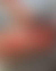 Rocchino Muliere: “Su l'ex Ilva Meloni non può starne fuori"