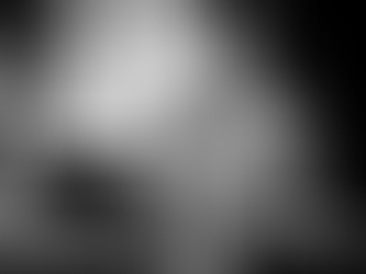 Per passione, non solo musica e parole...