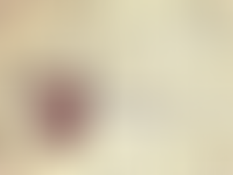 La Posta della Porta di Vetro. "Askatasuna ha più anime"   