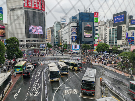Giappone, il viaggio che comincia prima di arrivare: Tokyo e il primo impatto