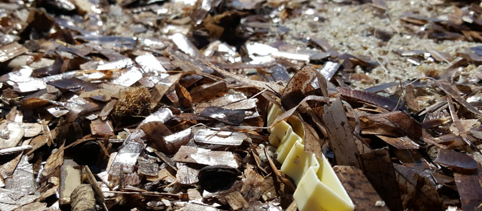 Emergenza plastiche: dati sulle concentrazioni di nanoplastiche nell'Atlantico del Nord