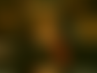 A un anno dalla scomparsa di Maria Grazia Sestero