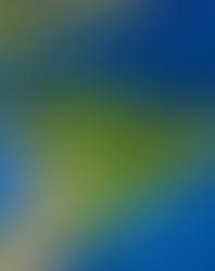 Detto in pochissime parole... Usa: la dottrina Monroe è sacra