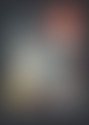 Verso il Giorno della Memoria Un ponte per credere nel futuro