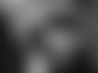 Per passione, non solo musica e parole...