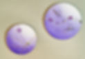 A__02387.jpg