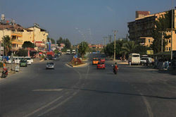 IMG_2423.jpg