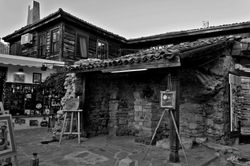 IMG_4677.jpg