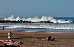 IMG_8571.jpg